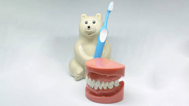 歯ブラシと歯型