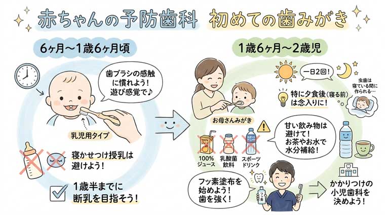 赤ちゃんの予防歯科　初めての歯みがきの図解