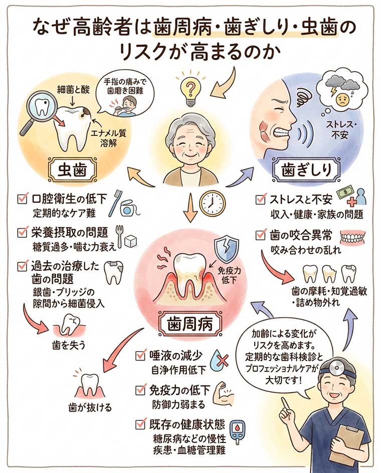 なぜ高齢者は歯周病・歯ぎしり・虫歯のリスクが高まるのかの図解