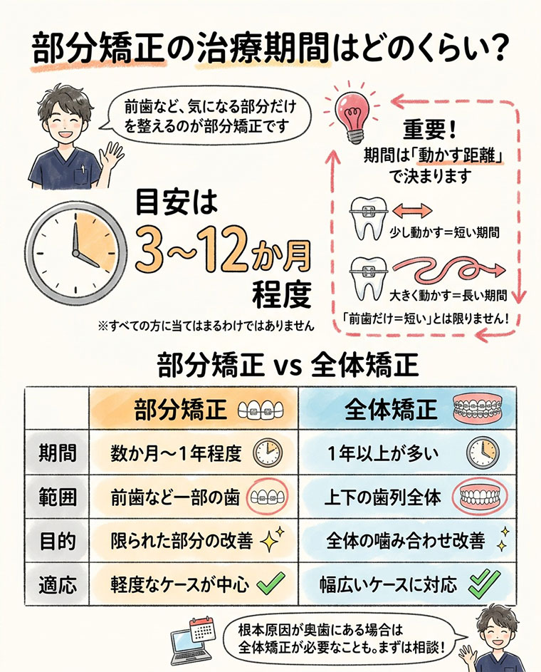部分矯正の治療期間はどのくらい？の図解